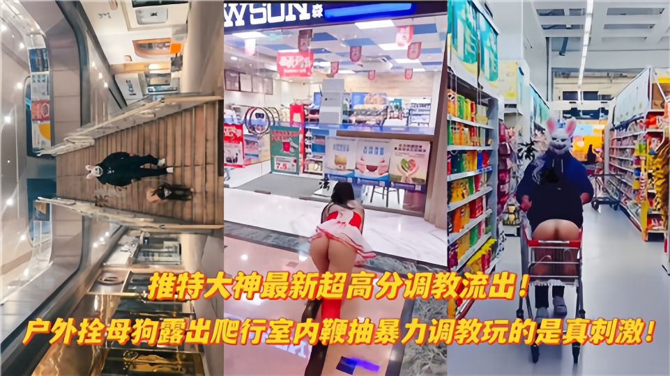 推特大神最新超高分调教流出！户外栓母狗露出爬行、室内鞭抽暴力调教~